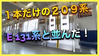 【かなりレア】E131系新型車両が1編成しかない209系500番台と並んだ‼️