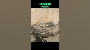三角洲行动：听声辨器，你！过！关……了吗？ #三角洲行动 #洲宝来整活 #三角洲行动