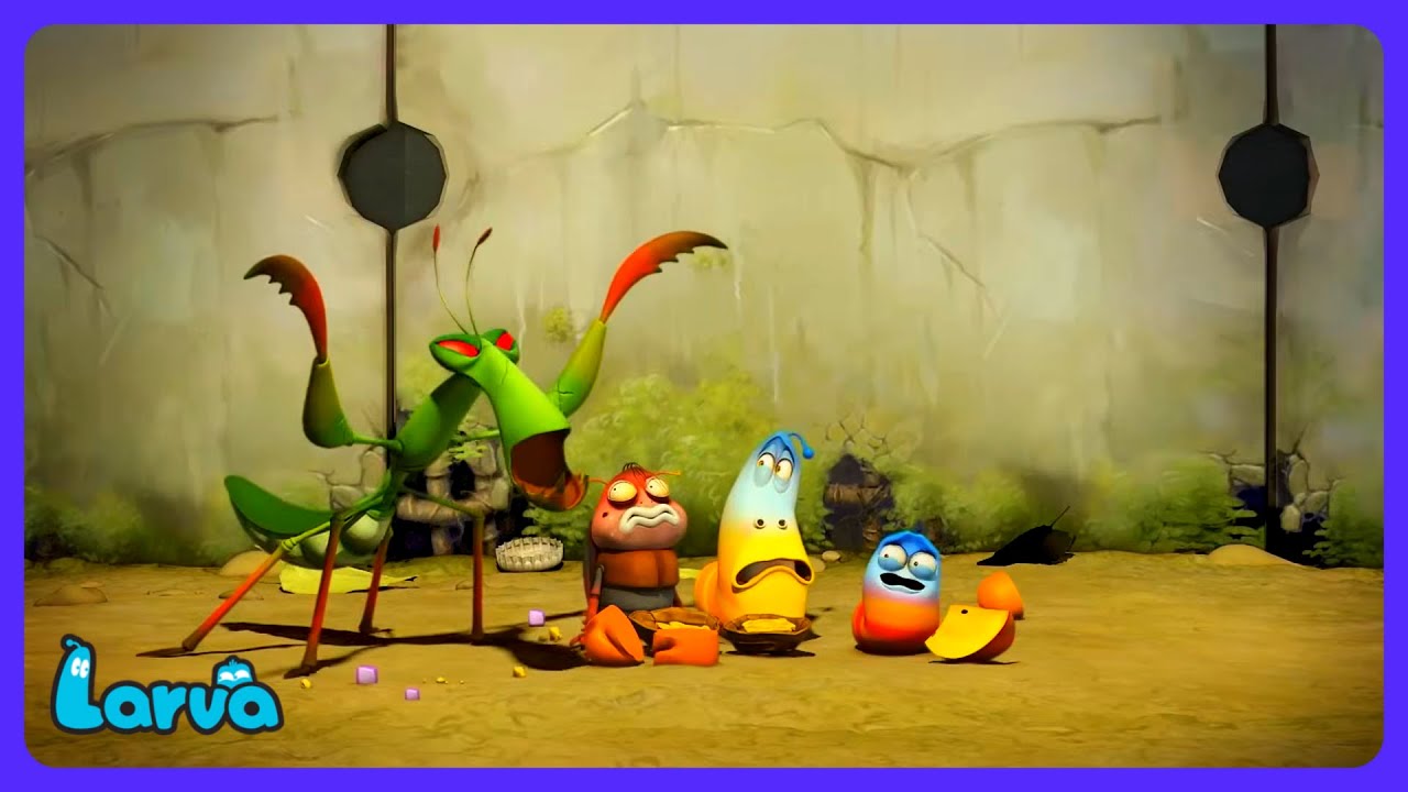 Larva - Mistrz Modliszka Atakuje! | Bajki dla dzieci | WildBrain Dzieci
