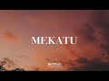 "Mekatu" - J Balvin x Wizkid Type Beat