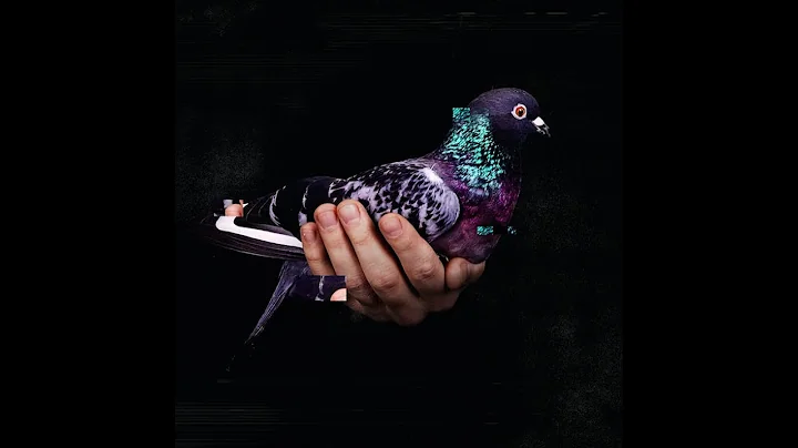 Stimming - Judith Maria (Official Video)