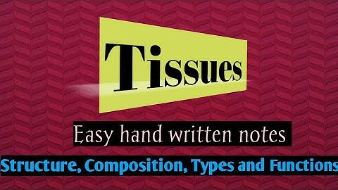 Tissues | Structure, Composition, Types and functions of tissues | Learn with Aroosa waheed