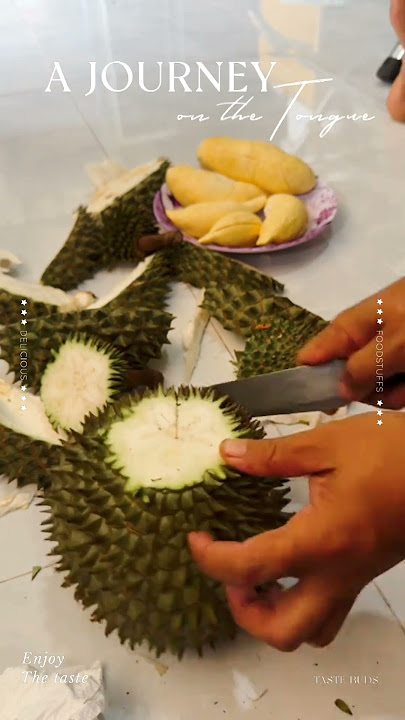 Khui sầu riêng ri6 #saurieng #shortsfeed #durian #viralvideo