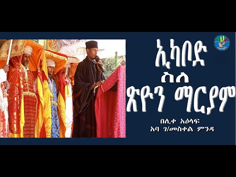 ቪዲዮ: በዓለም ውስጥ 25 በጣም የሚያምሩ ቤተ -መጻሕፍት