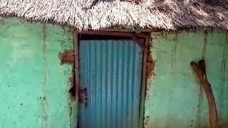 Majuetdit,  Rajil Kasalan - Dinka comedy (low Quality). Expect full HD soon!