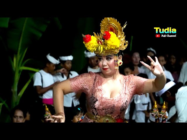 Budaya Joged Bungbung jembrana || Pendem manistutu || junik berseri class=