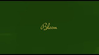 Bloom/初音ミク