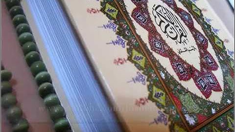 سورة النصر شيرزاد طاهر