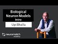 Biological Neuron Models Intro