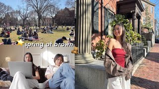 spring at brown university | productive uni vlog, spring outfit inspo, princess polly haul