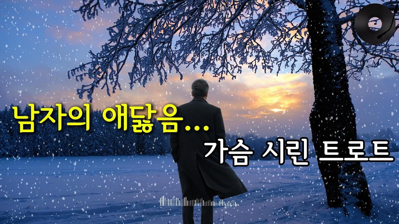 "남자의 애닳음...이 가을 다시 가슴 시린 트로트 명곡 모음