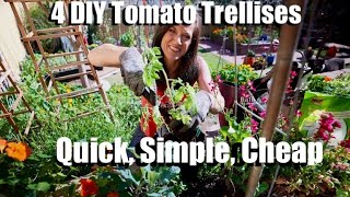4 Easy, Cheap DIY Tomato Supports/Trellises for Containers & Garden Beds/ Spring Garden Series  6