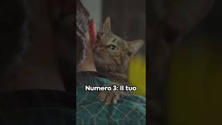 5 Cose Che Dimostrano Che Sei Il Suo Preferito