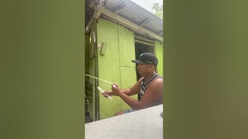 Guam talaya sewing (cast net )