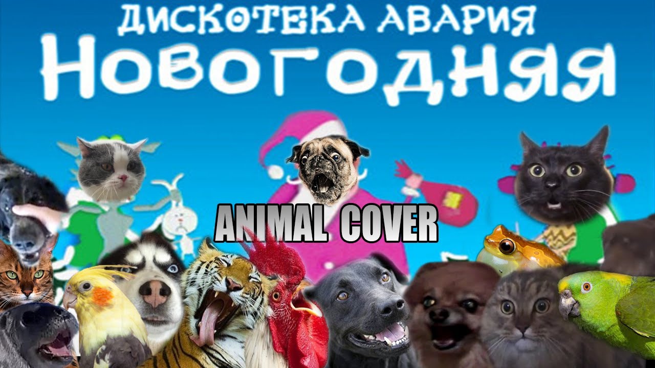 Дискотека Авария - Новогодняя (Animal Cover)
