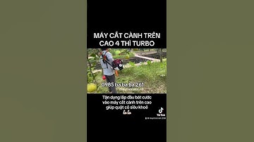 Máy cắt cành trên cao, lắp bát cước thành máy cắt cỏ #maycatcanh #maycatco