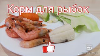 Самодельный корм для аквариумных рыбок