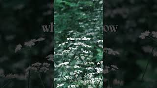 Let it unfold #spiritualhealing #dailyzen #mindfulness