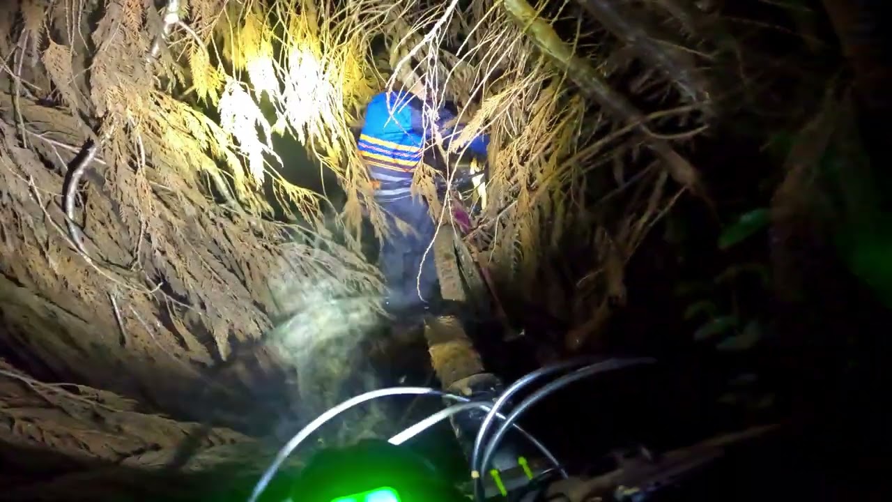 Coquille has a bike park!? The Hundred Acre Wood