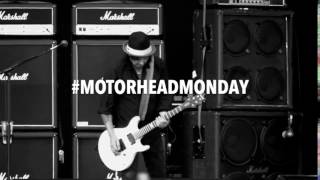 Phil Campbell GiF screenshot 4