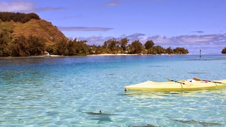 MAK channel Live Stream