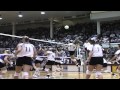 Wsu honor the past 1996 cougars volleyball