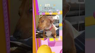 That one try hard #roblox #rant #rblx #tryhard #viral #shorts