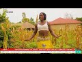 SSBC  LIVE  ENGLISH NEWS 8/11/2024 #subribe FOR DAILY UPDATES ON OUR YOUTUBE CHANNEL.