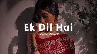 Ek Dil Hai - [Slowed Reverb] Ek Rishtaa | Akshay Kumar, Karisma Kapoor | Hindi Romantic Song