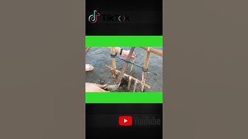 Easy Snake Trap - Creative Method DIY Snake Trap Using Cutter That Work 100% #shorts