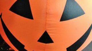 参加型フォトナライブ