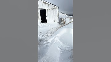 Survival shelter post snowstorm - Blizzard camping