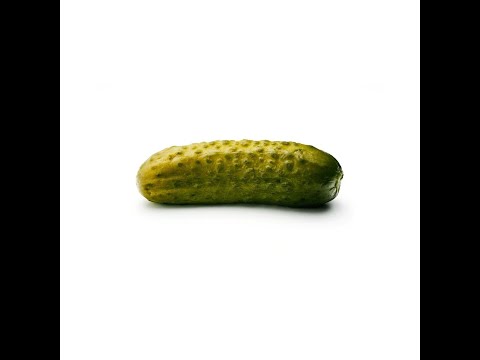 Pickle | Cancelled burger album song