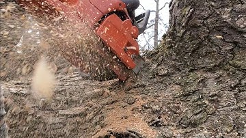 Loading old growth white oak on the log arch trailer.
