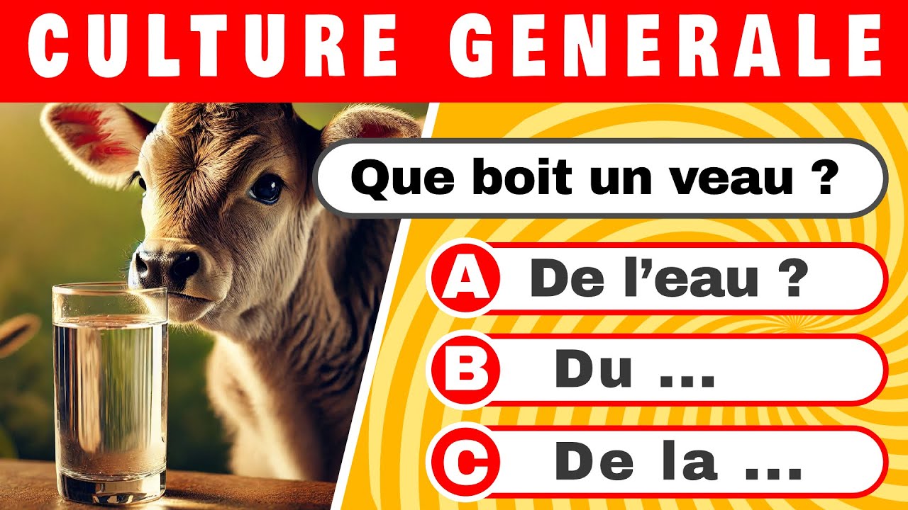 Quiz de Culture Générale – Trouve la bonne réponse sans te tromper ! Quiz facile ou difficile ?