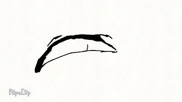 Eye blinking / animation test(OLD)