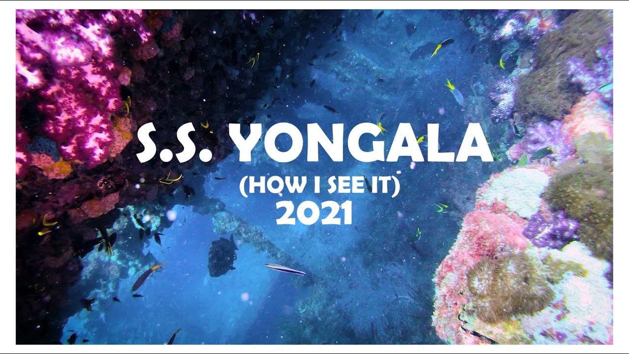 The S.S. Yongala Wreck Dive (How I see it) - 2021