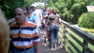 Ocean City - zoo