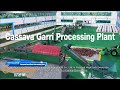 Garri processing plant gari processing machine