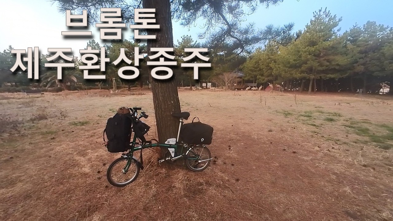 브롬톤 제주도 환상종주