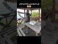 اهو ما تزعلوا جايبين كيكه كبيرة لعادل اولاش تونا مسلسل هذا البحر سوف يفيض