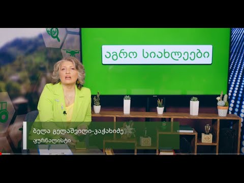 აგრო სიახლეები - 6 (S-13)