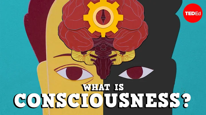 What is consciousness? - Michael S. A. Graziano - DayDayNews