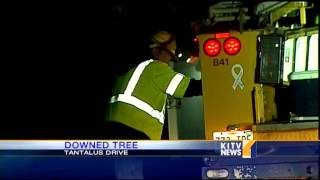 Fallen tree causes road block on Tantalus Drive