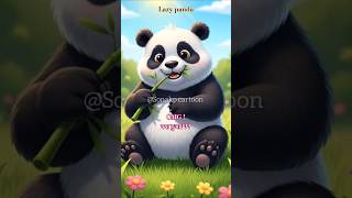 Lazy Panda Falls Funny Moment | Cute Cartoon #shorts #browsefeaturesyoutube  #cartoon #funnycartoon