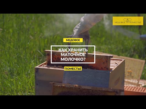 Как сохранить все