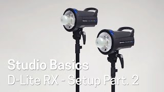 D-Lite RX To Go - Part 2: Technical Walkthrough
