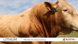 Lithium Blond Daquitaine