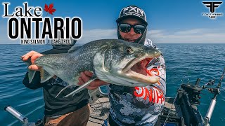 How to CATCH KING SALMON and LAKE TROUT on LAKE ONTARIO.