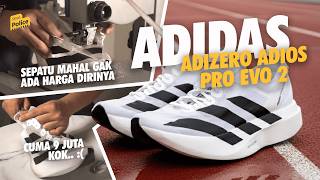 SEPATU LARI PALING MAHAL 9 JUTAAN TERNYATA BAHAYA? - REVIEW BEDAH SEPATU LARI ADIDAS ADIOS PRO EVO 2